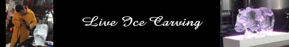 Live Ice Carving
