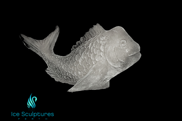 fish-112A0EA59-06BA-982A-FA4F-F2B65C46E480.png