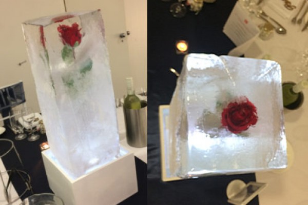 rose-in-ice-2498D3236-60C2-3107-15AF-9CC55F51DCAC.jpg