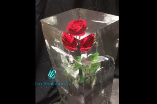 rose-in-ice-55F660AE3-E2A4-3BE4-ABBE-3739EE0B85F7.jpg