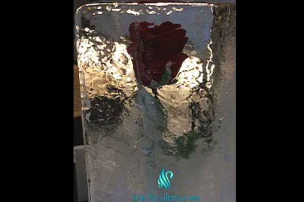 rose-in-iceB461E0D0-3EE8-DE30-2BC1-DC539E649575.jpg