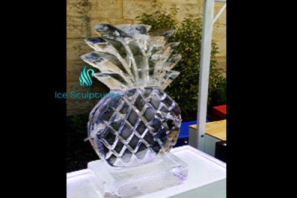 pineapple-luge-23CF21667-0058-685A-ECFE-44B568FA6A51.jpg